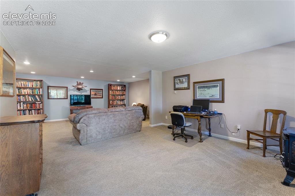657 Spring Valley Drive Divide, CO 80814 - Photo 28 of 43