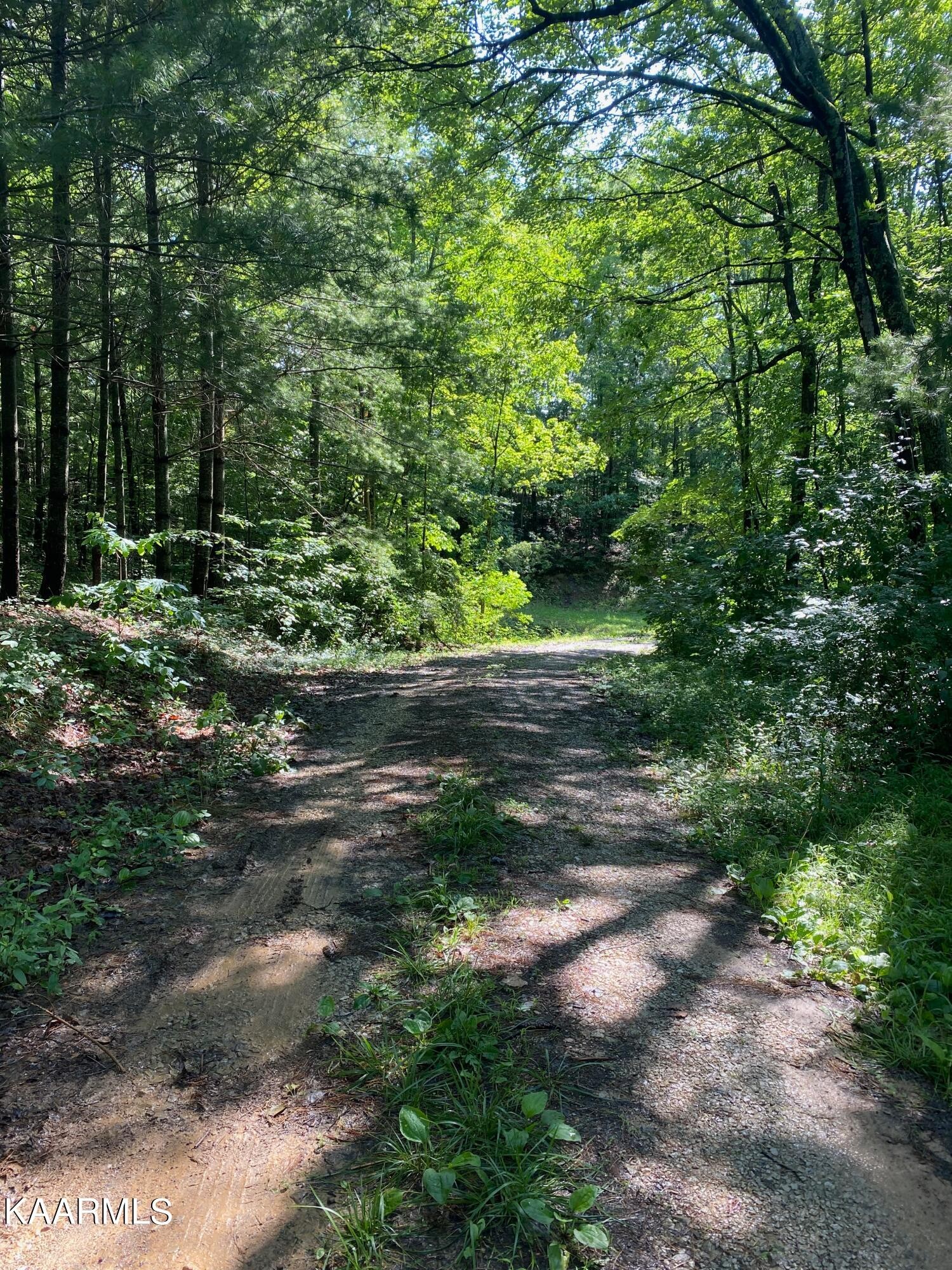 306 Dynatex Road Lancing, TN 37770 - Photo 12 of 13 a view of path with trees