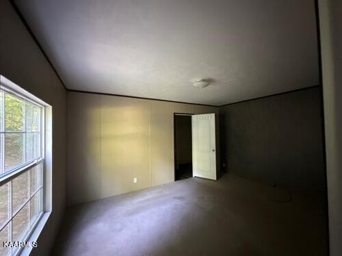 306 Dynatex Road Lancing, TN 37770 - Photo 8 of 13 an empty room with windows