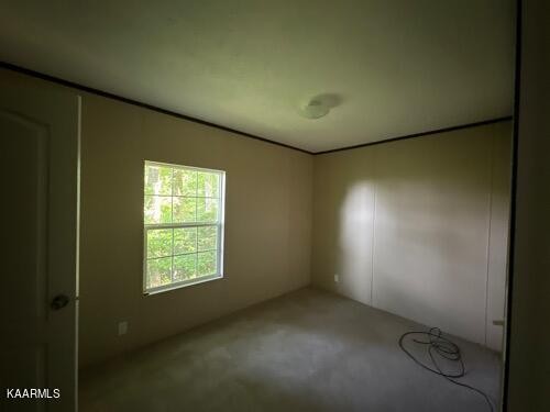 306 Dynatex Road Lancing, TN 37770 - Photo 9 of 13 an empty room with a empty space and windows