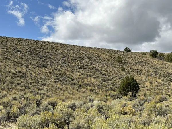$35,000 | 0 Sec 9 Twp 39n Rge 68e Mdb&m Nv, Montello, NV 89830