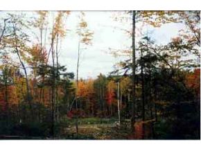 * Mann`s Hill Road Littleton, NH 03561 - Photo 2 of 2 Gallery Image 2