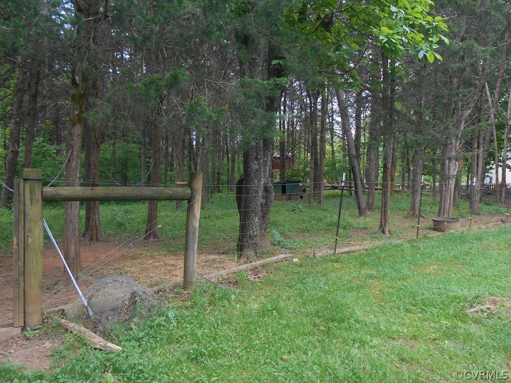 1925 Hill Cross Road Charlotte Court House, VA 23923 - Photo 45 of 50 a view of a park with large trees