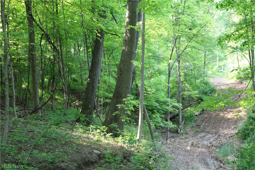 799 State Road Freeport, OH 43973 - Photo 11 of 22 Gallery Image 11