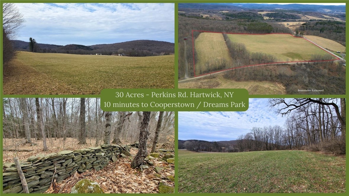 0 Perkins Road Cooperstown, NY 13326 - Photo 1 of 1 Gallery Image 1