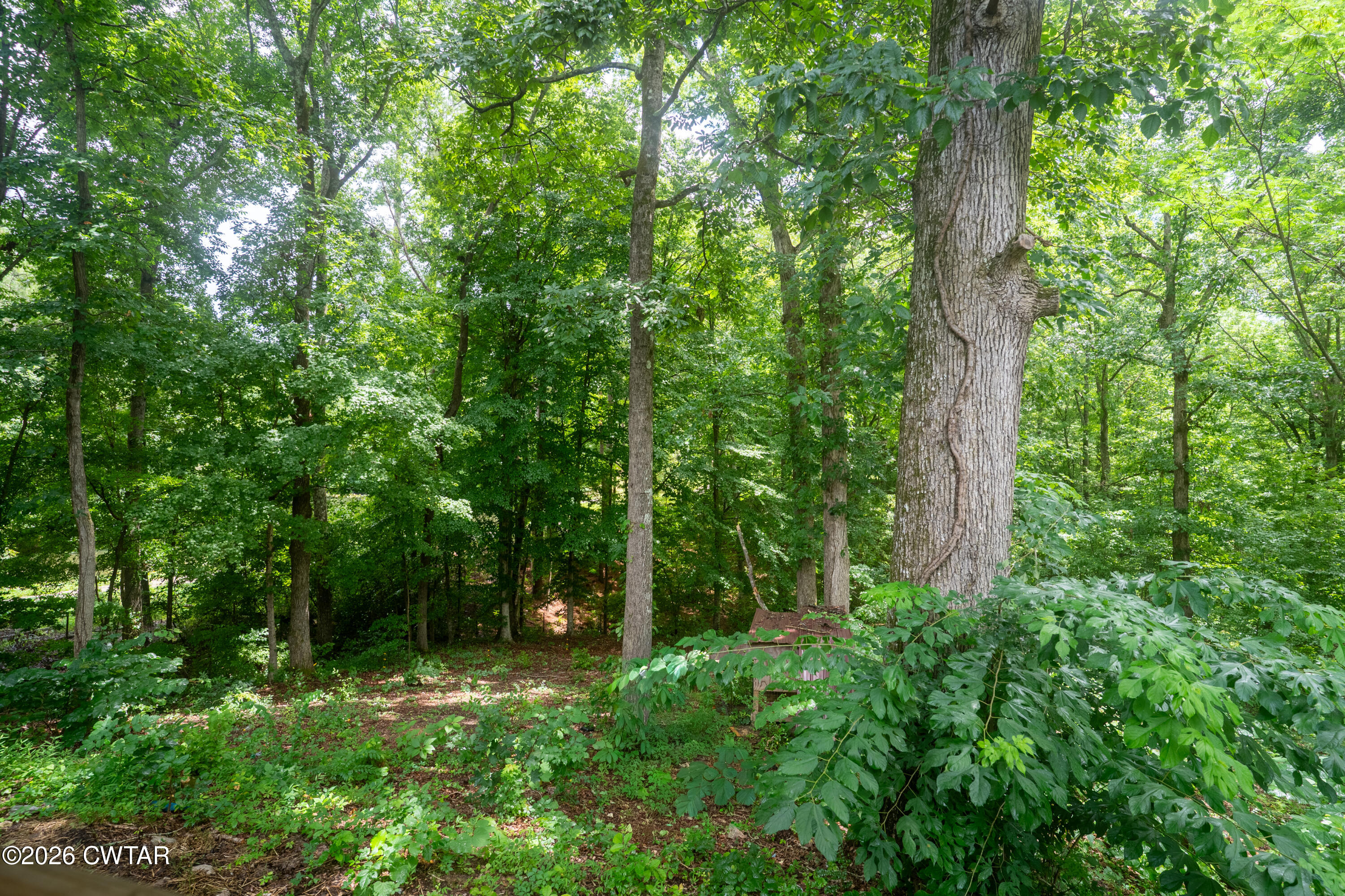 1408 Mifflin Road Jackson, TN 38301 - Photo 6 of 30 1408MifflinRd-0075-HDR