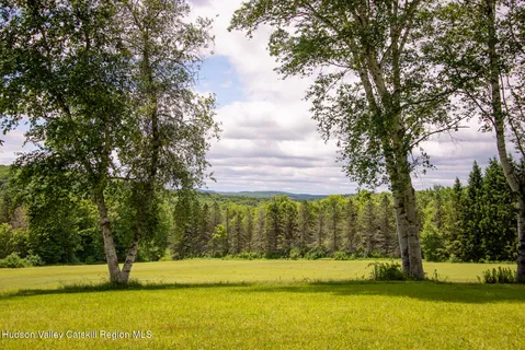 $765,000 | 1260 West Peakes Brook Road, Delhi, NY 13753
