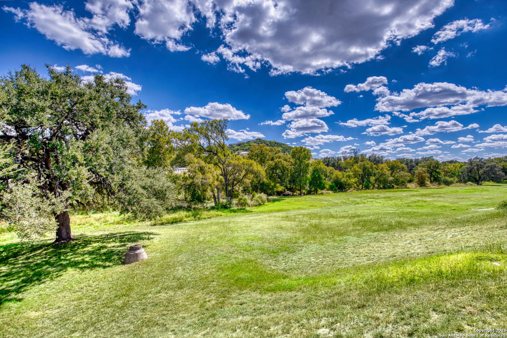 805 Highway 534 Loop, Unit 122 Kerrville, TX 78028 - Photo 29 of 30 a view of a big yard with lots of green space