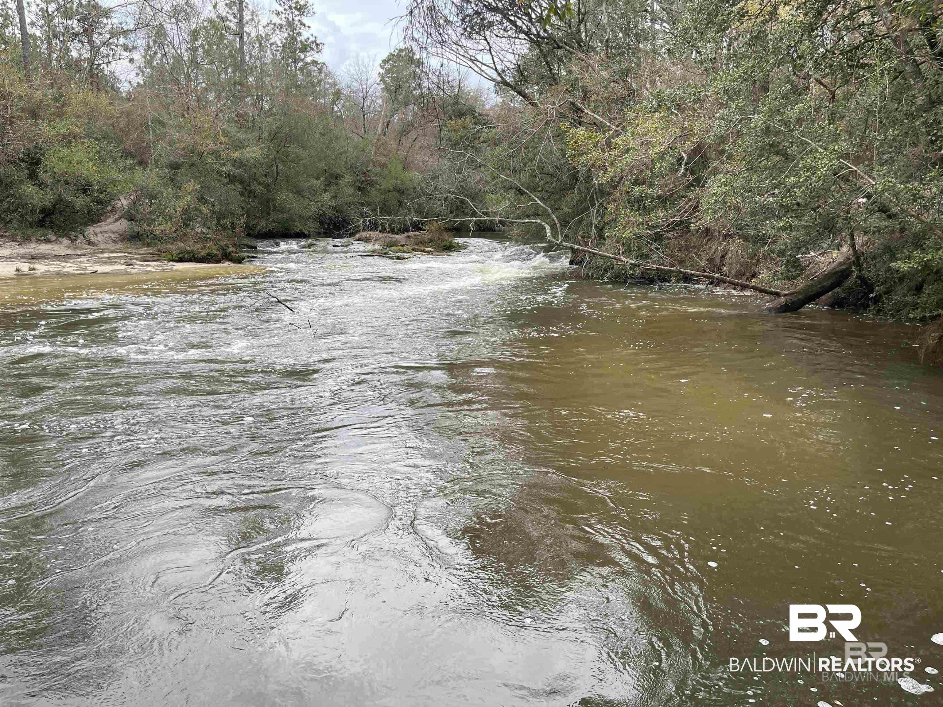 0 Dunbar Road Robertsdale, AL 36567 - Photo 12 of 36 Water view featuring a heavily wooded area
