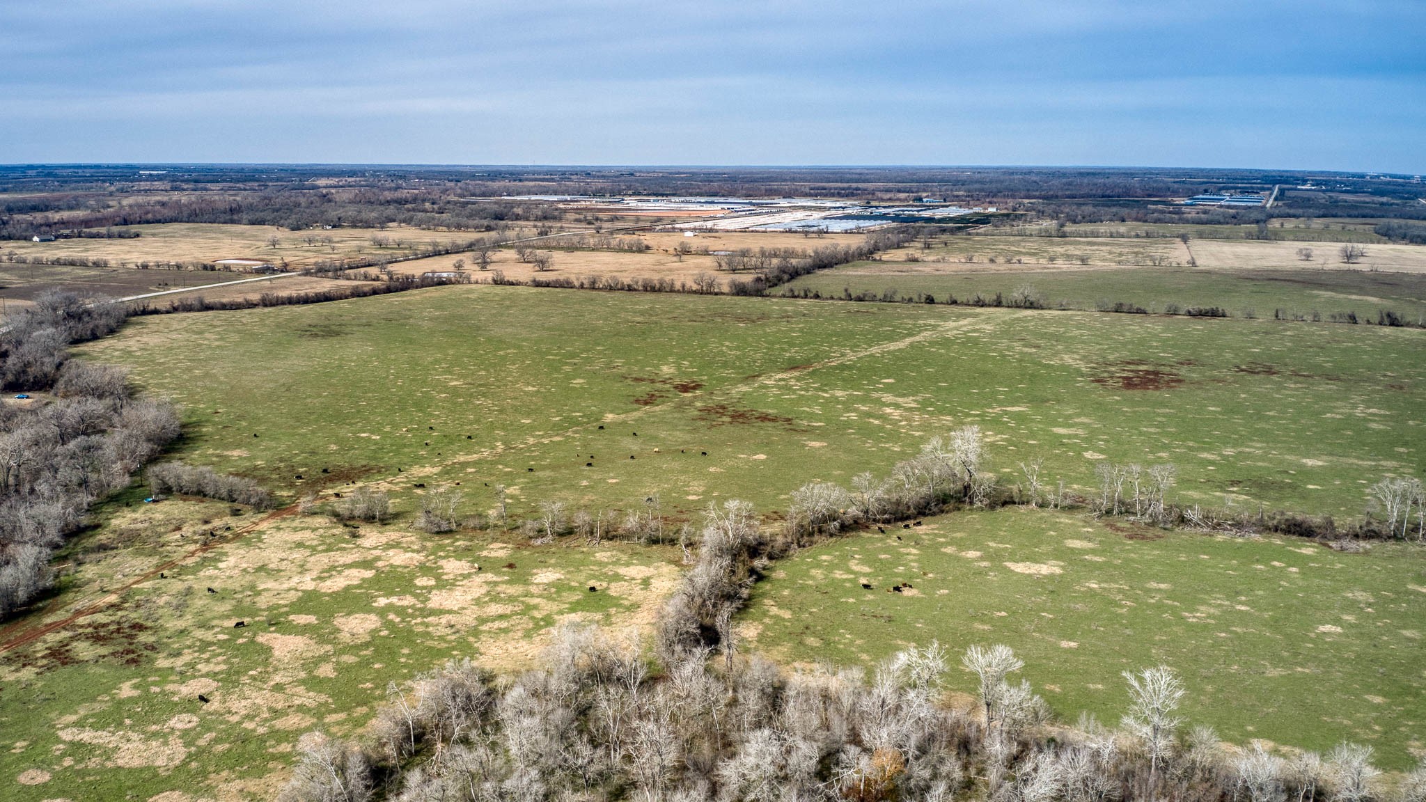 42919 Addie Gee Road Hempstead, TX 77445 - Photo 11 of 22