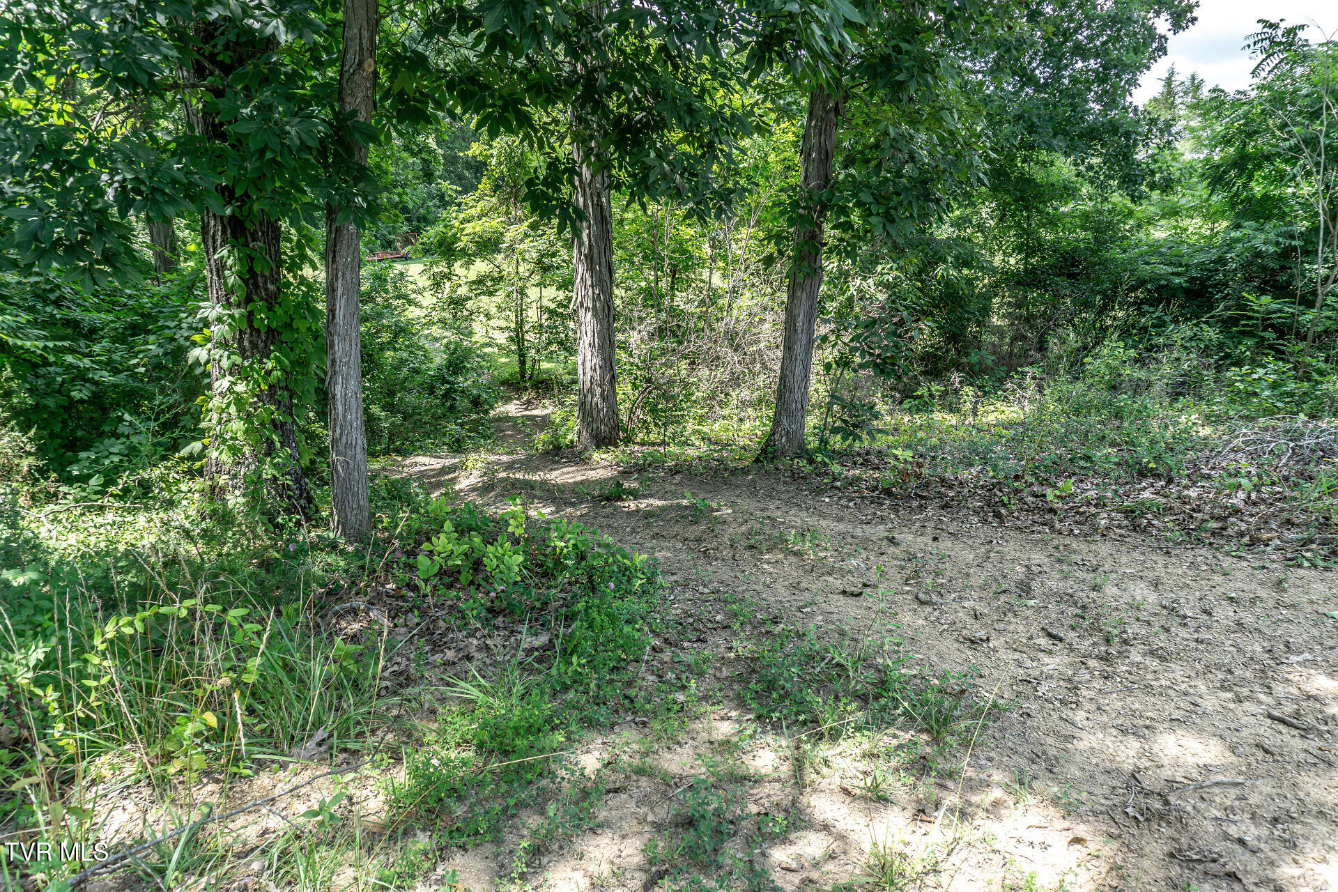 265 Black Road Greeneville, TN 37743 - Photo 26 of 62 265BlackM_048