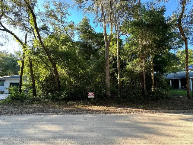 a view of a yard with plants and trees