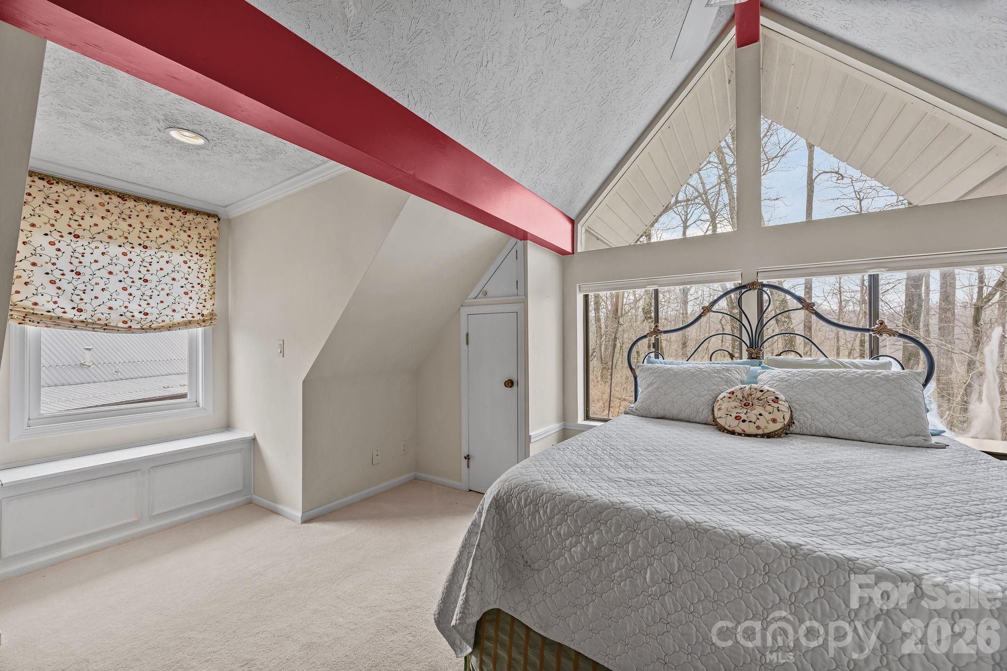 6777 Pinnacle Mountain Road Zirconia, NC 28790 - Photo 19 of 41