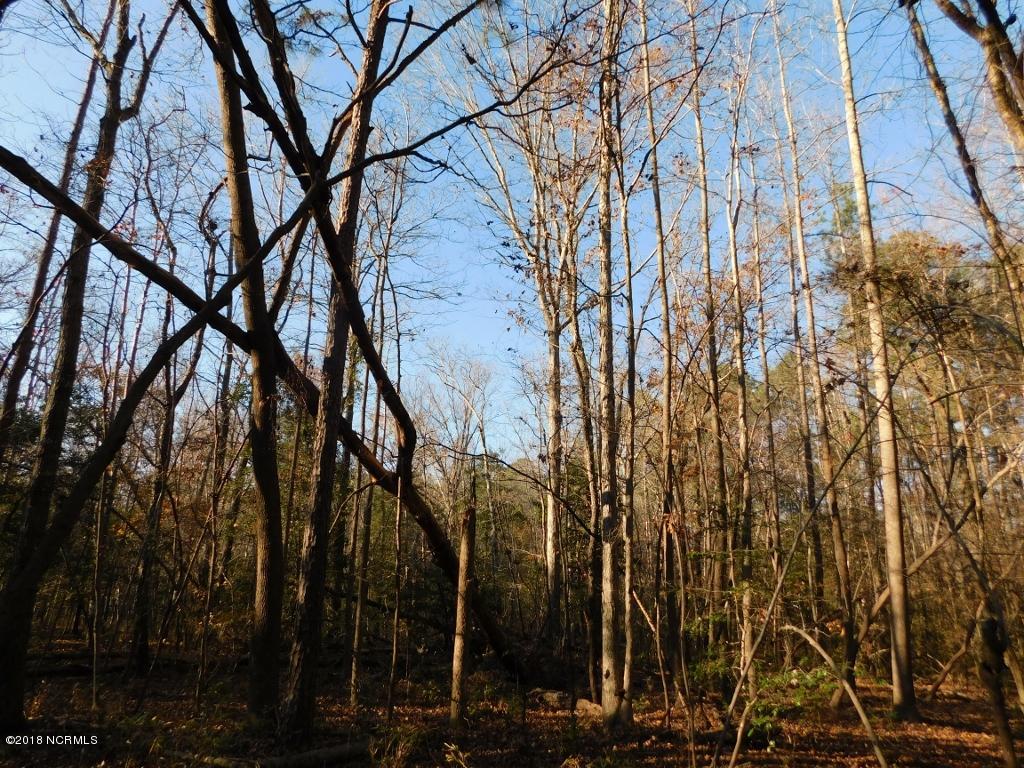 26.89 Bynum Farm Road Pinetops, NC 27864 - Photo 40 of 43 40 (1024x768)