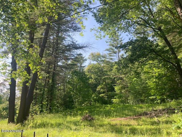 85 Pixley Road Monterey, MA 01230 - Photo 15 of 20 a view of a yard