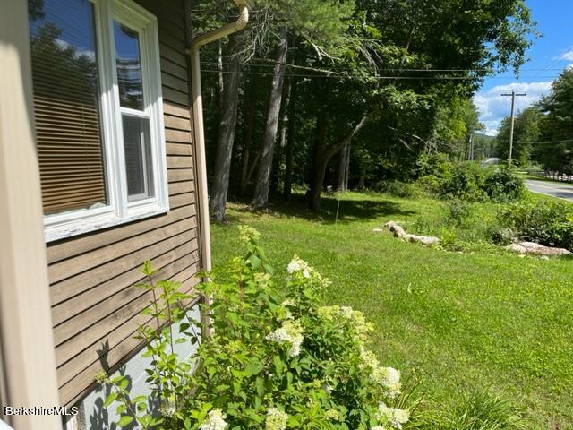 85 Pixley Road Monterey, MA 01230 - Photo 20 of 20 a view of a backyard with plants and large trees