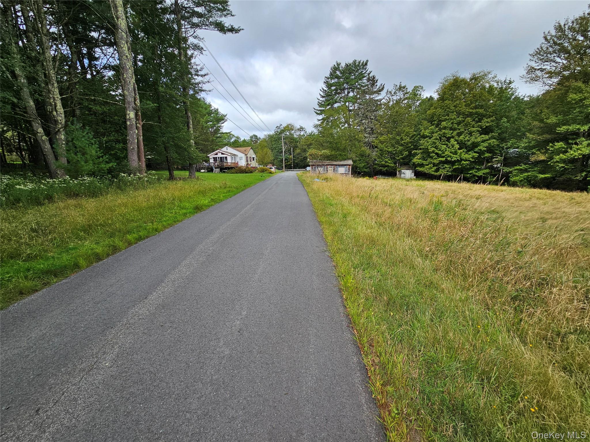 3624 State Rte 55 Kauneonga Lake, NY 12749 - Photo 23 of 48 View of asphalt road with view of wooded area