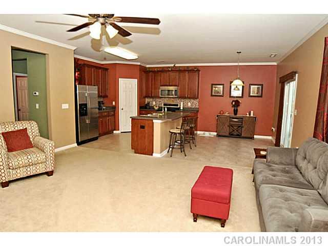 10111 Green Grass Road Charlotte, NC 28227 - Photo 4 of 16 Gallery Image 4