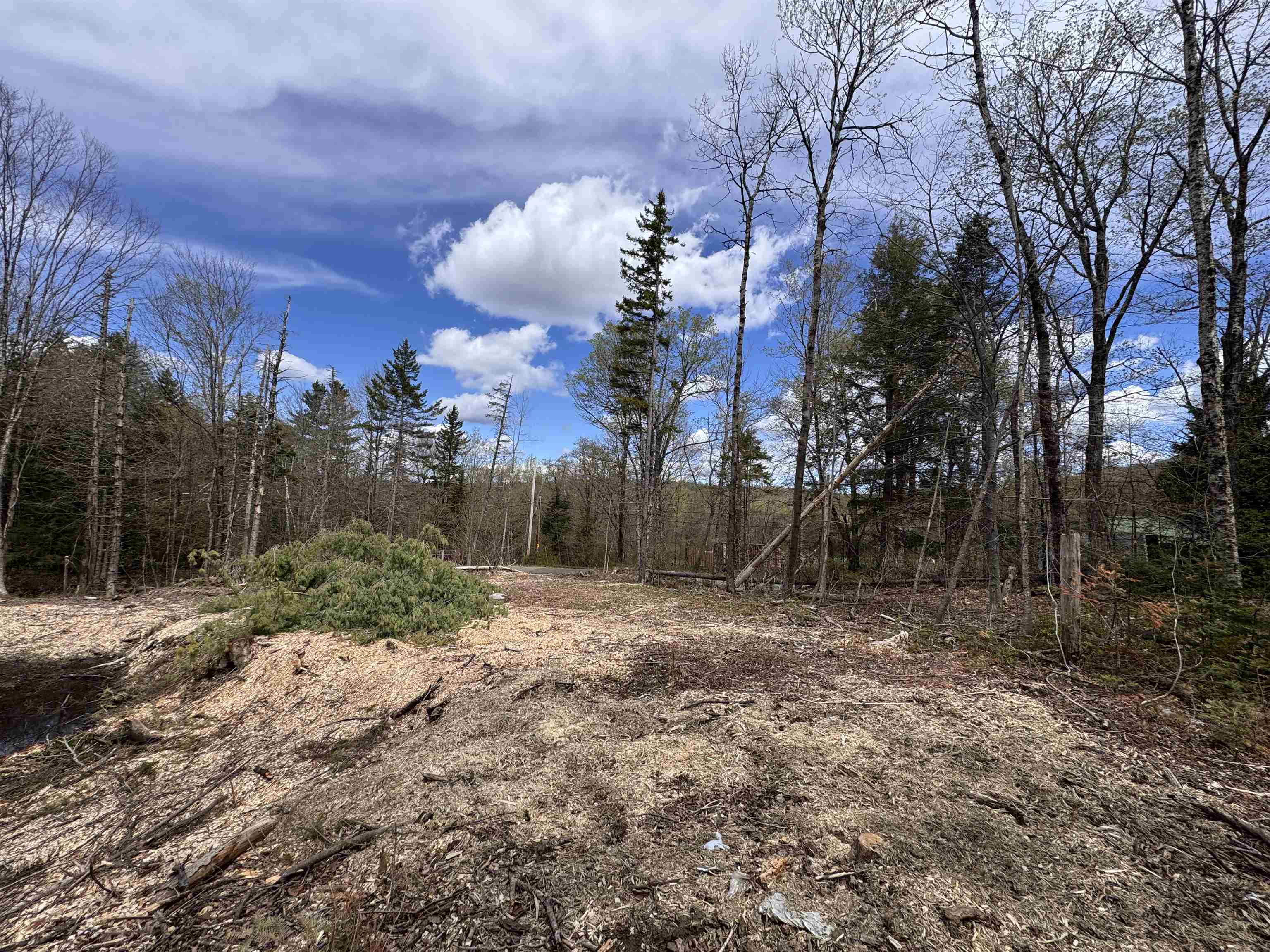 169 Sun And Ski Road Wilmington, VT 05363 - Photo 5 of 43