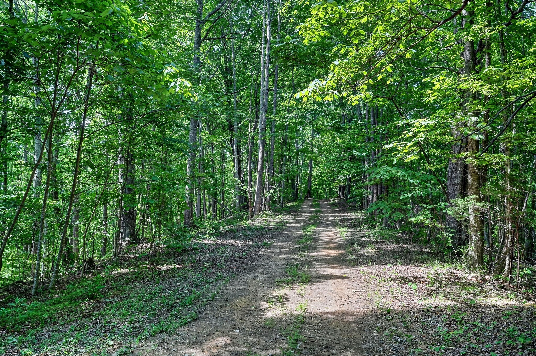 2926 Bryant Ridge Road Baxter, TN 38544 - Photo 5 of 64