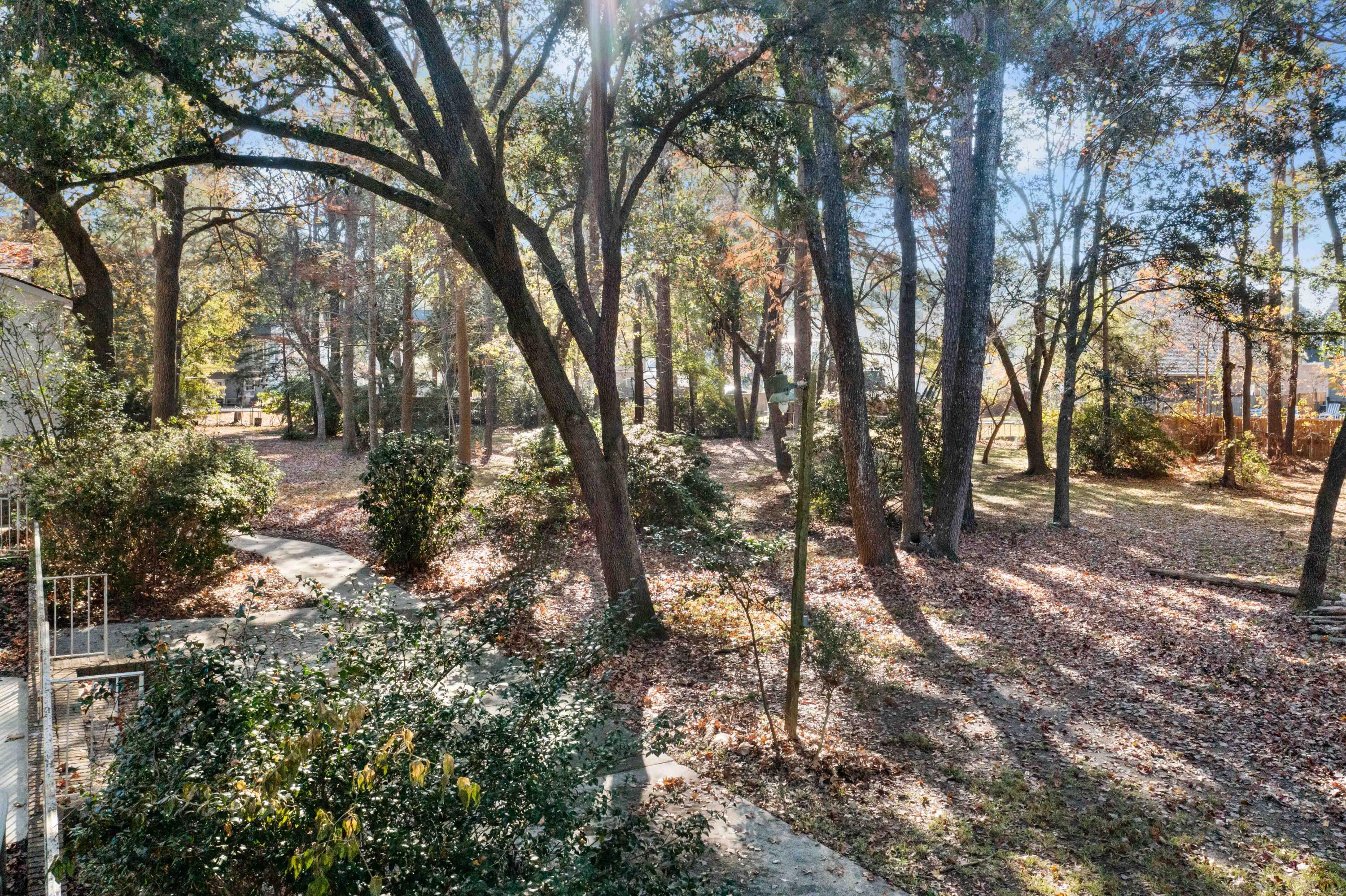 9875 Jamison Road Summerville, SC 29456 - Photo 141 of 146 DJI_0590
