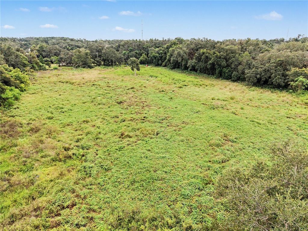 6560 Stark Road Seffner, FL 33584 - Photo 4 of 10 Gallery Image 4