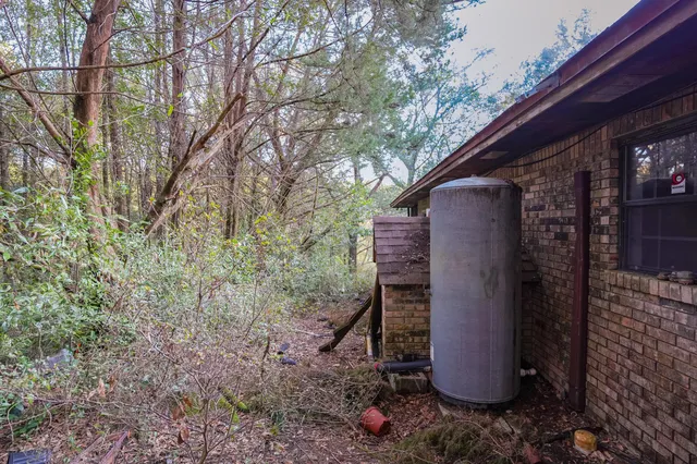a view of a forest with trees