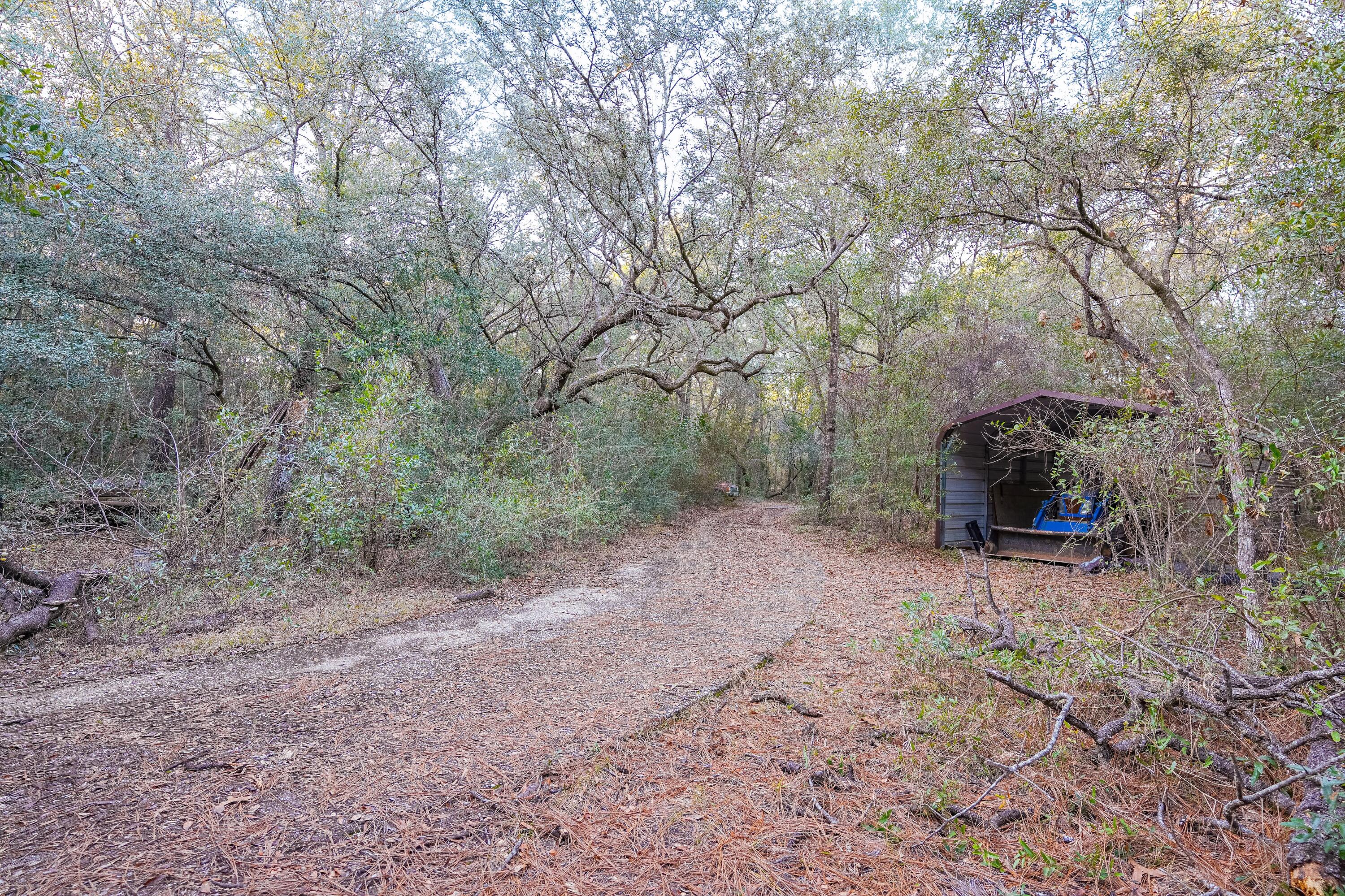 4444 Sundance Way Holt, FL 32564 - Photo 37 of 39 a view of a forest with trees in the background