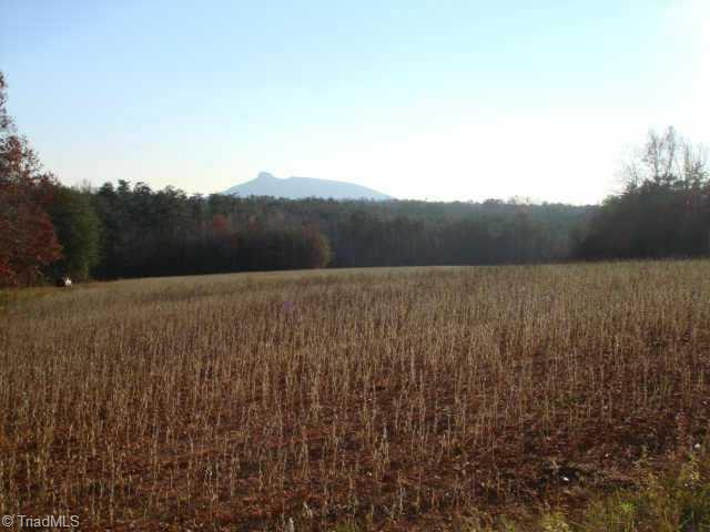 41.84-ac Carson Road Pilot Mountain, NC 27041 - Photo 1 of 6 Exterior Front.