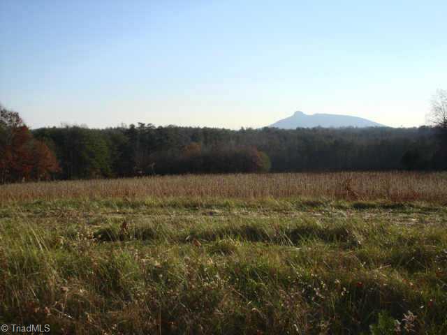 41.84-ac Carson Road Pilot Mountain, NC 27041 - Photo 2 of 6 Other.
