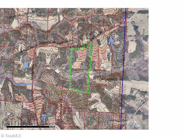 41.84-ac Carson Road Pilot Mountain, NC 27041 - Photo 6 of 6 Other. Topo Map