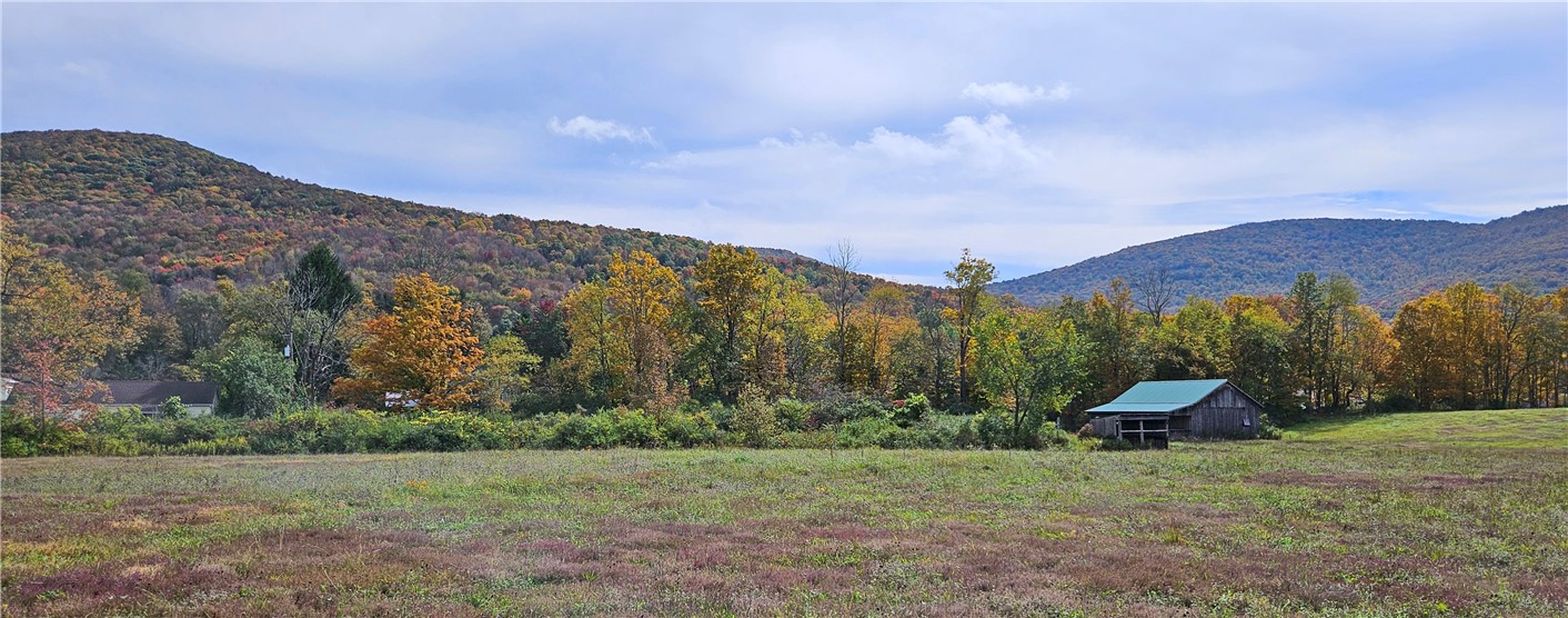 41 County Route Pulaski, NY 13142 - Photo 1 of 15 View from building site