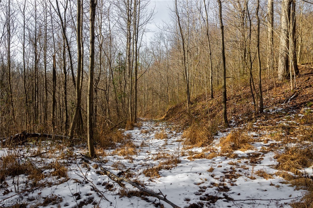 9 County Road New Matamoras, OH 45767 - Photo 26 of 48 Snowy landscape