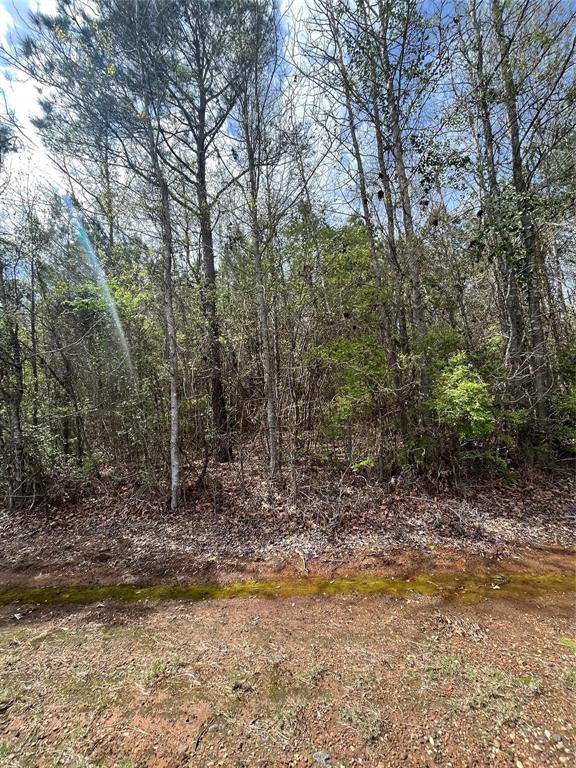 0 Crouch Road, Unit 2 Benton, LA 71006 - Photo 6 of 7 Wooded lot featuring mature trees and natural ground cover