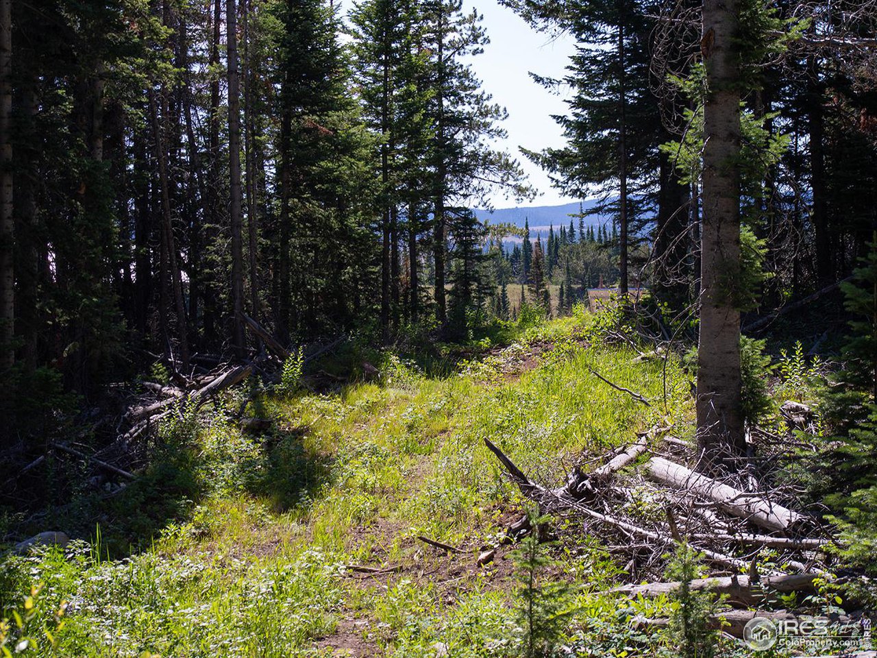 1189 Mountain Ridge Road Red Feather Lakes, CO 80545 - Photo 27 of 40 Gallery Image 27