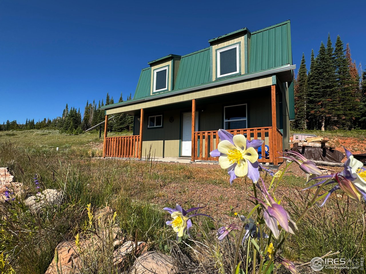 1189 Mountain Ridge Road Red Feather Lakes, CO 80545 - Photo 3 of 40 Gallery Image 3