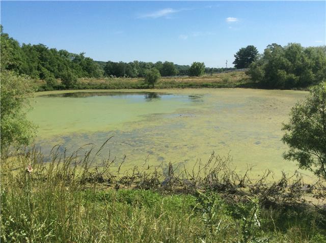 380 Petersburg-Chestnut Ridge Road Petersburg, TN 37144 - Photo 3 of 20 Large Pond on Property
