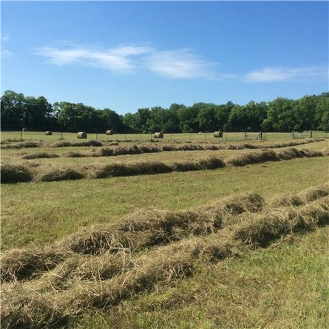 380 Petersburg-Chestnut Ridge Road Petersburg, TN 37144 - Photo 4 of 20 Land provides plenty of Hay