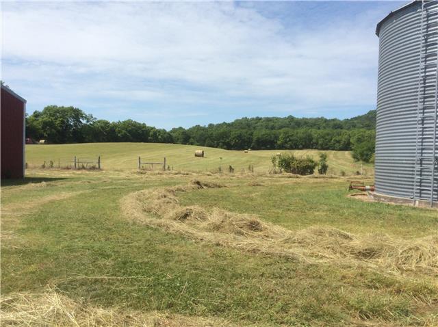 380 Petersburg-Chestnut Ridge Road Petersburg, TN 37144 - Photo 5 of 20 Gorgeous Rolling Pastures.