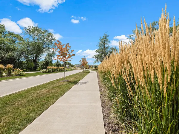 a picture of a table