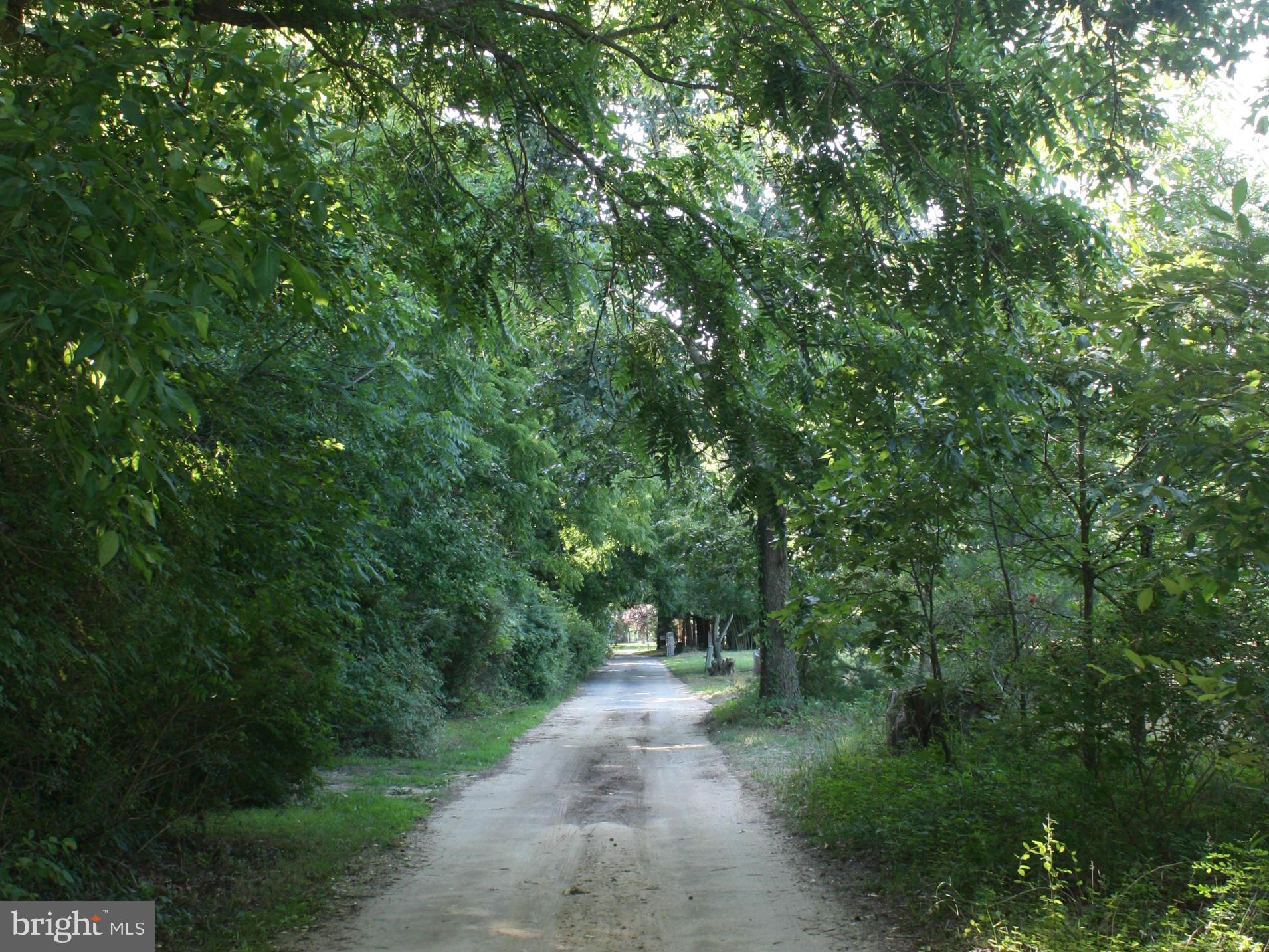 1481 Grandview Road Arnold, MD 21012 - Photo 11 of 11 B&A Bike Trail