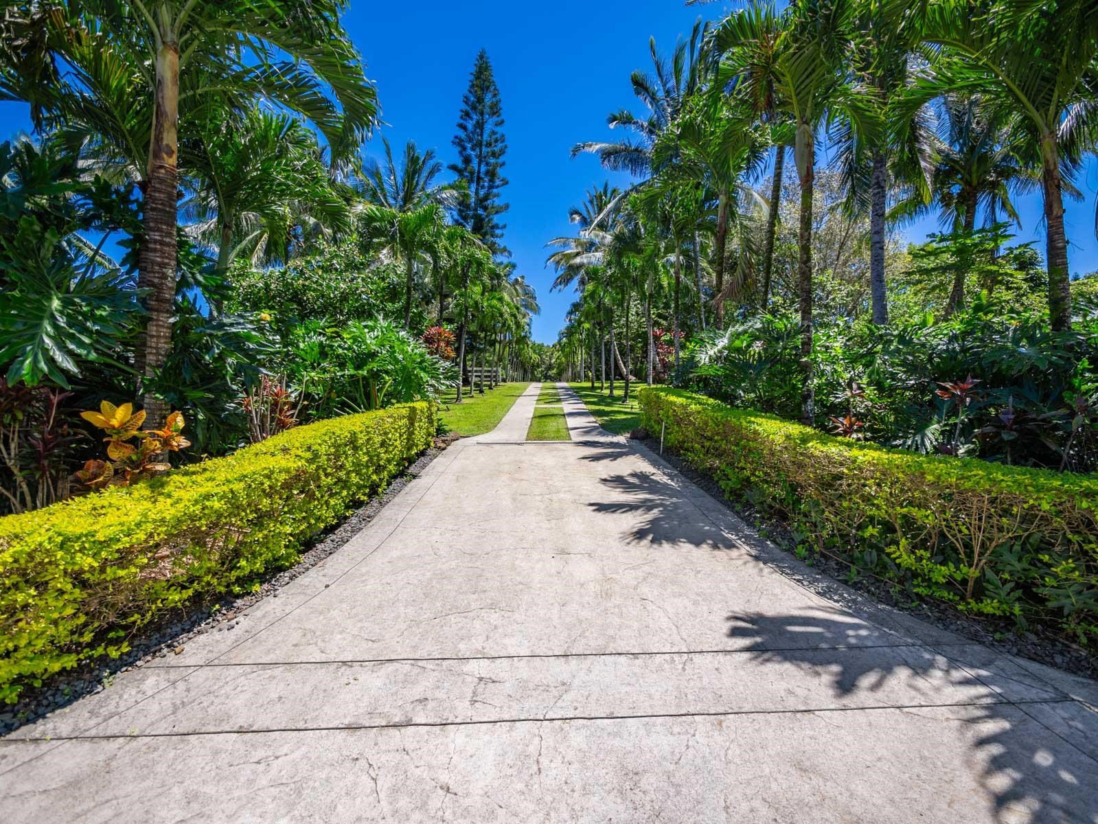 65 North Holokai Road Haiku, HI 96708 - Photo 12 of 50 a view of a garden with a pathway