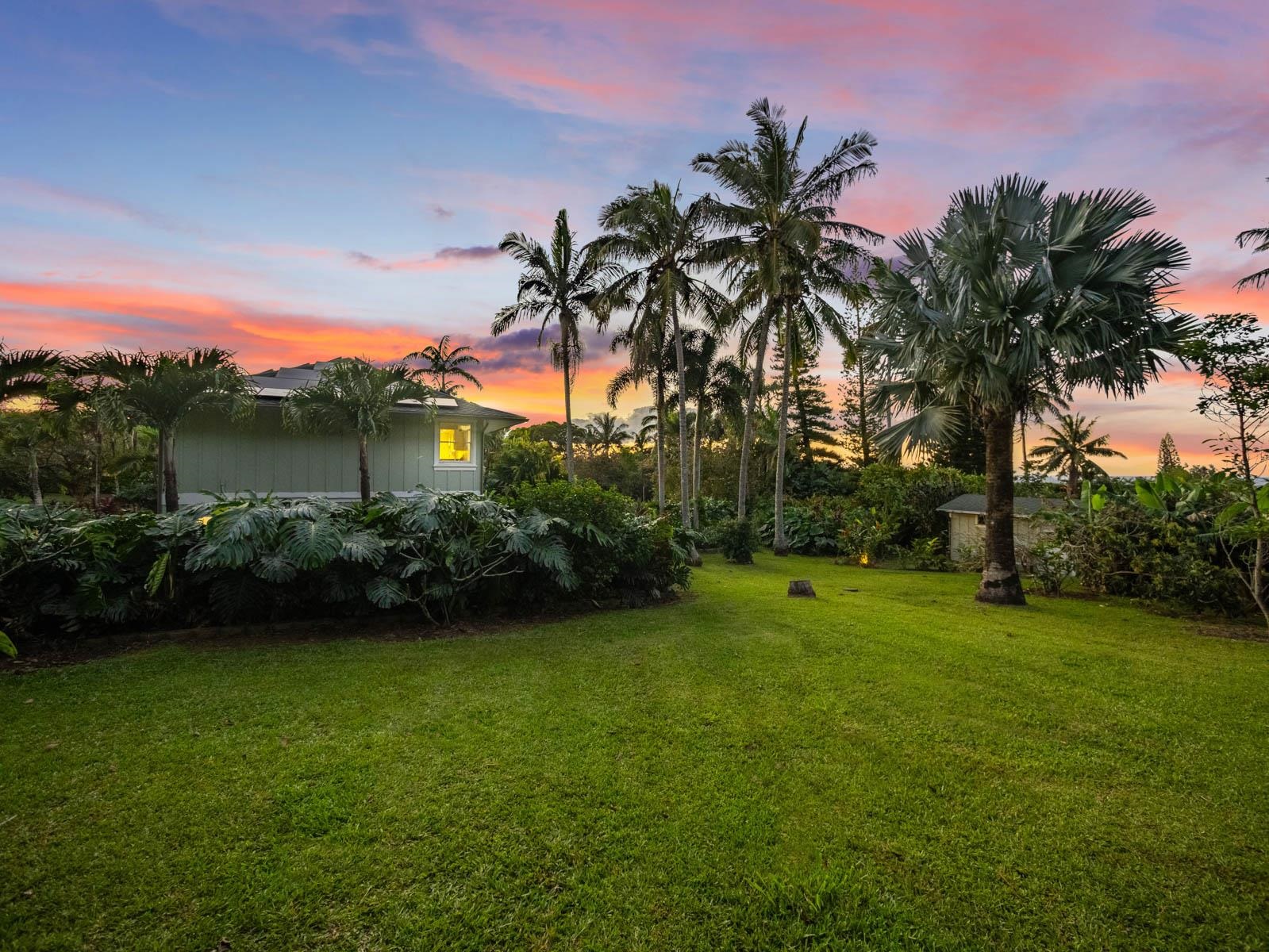 65 North Holokai Road Haiku, HI 96708 - Photo 25 of 50 a view of a garden with a tree