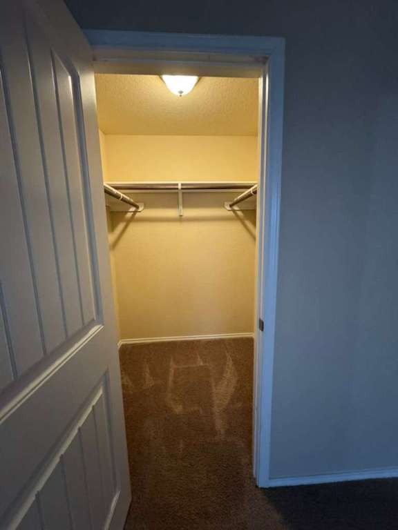 9626 Common Law Converse, TX 78109 - Photo 16 of 31 Walk in closet with dark colored carpet