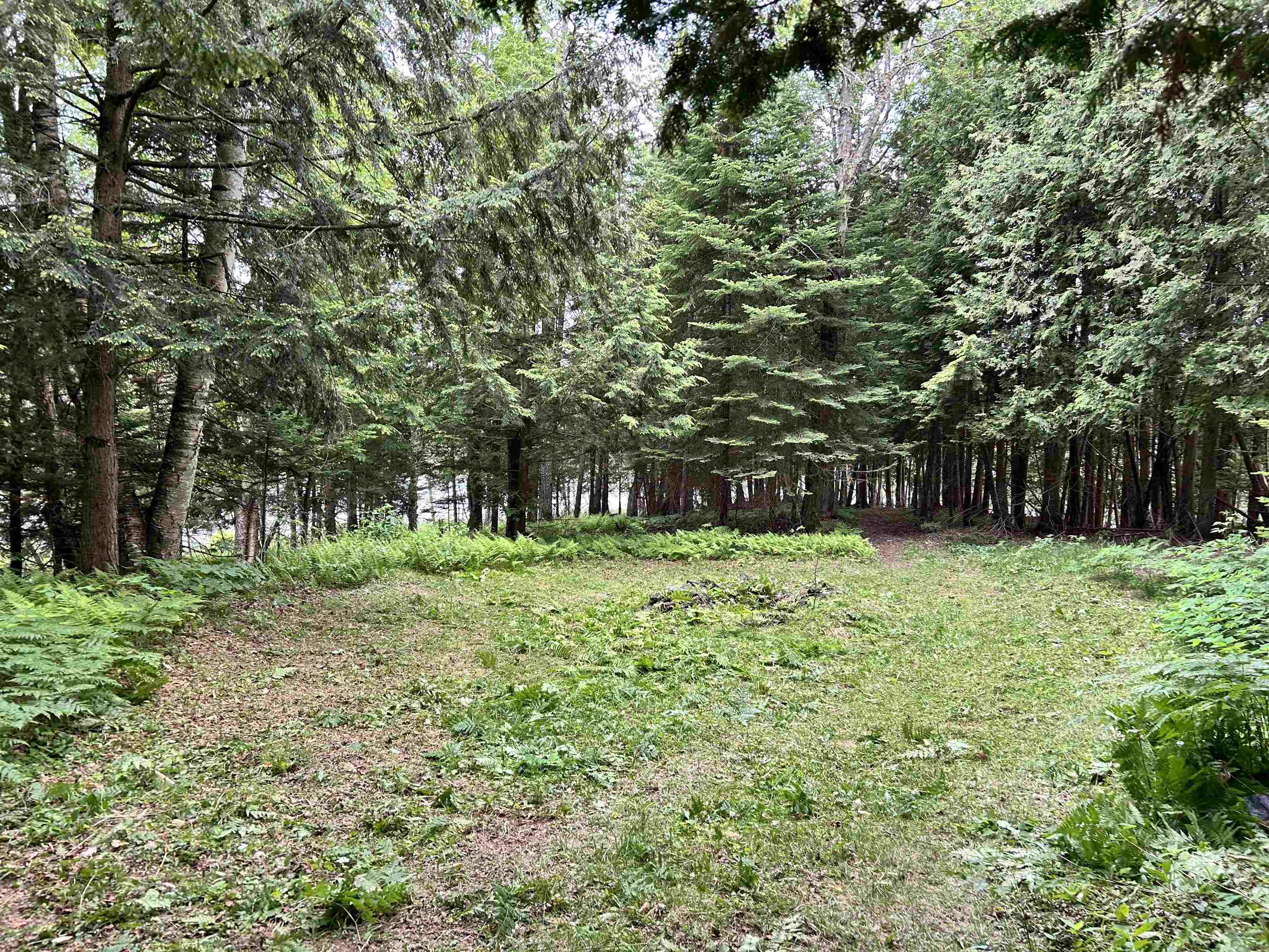 1667 East Albany Road Barton, VT 05875 - Photo 6 of 20