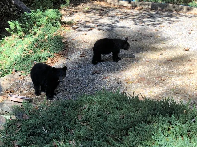 a view of a balcony with chairs and wooden floor