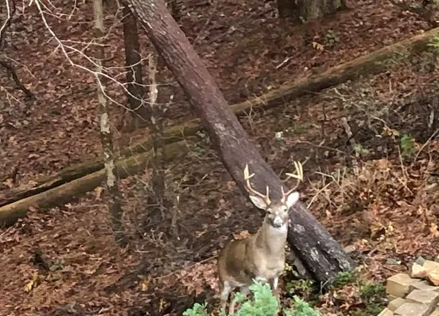a view of a two chair in the balcony
