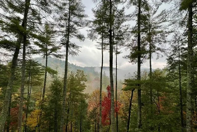 a kitchen with stainless steel appliances granite countertop a refrigerator a stove and a wooden cabinets