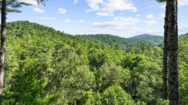 a view of a backyard with plants and a garden