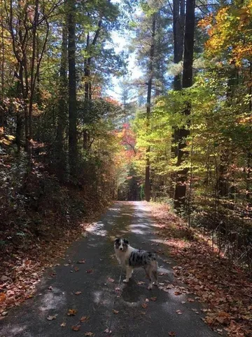 $579,000 | 20 JK Lane, Suches, GA 30572